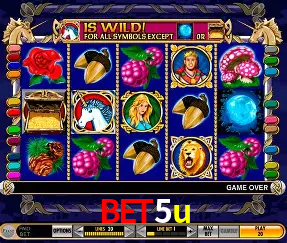 A Experiência Imersiva dos Cassinos Ao Vivo no bet5u